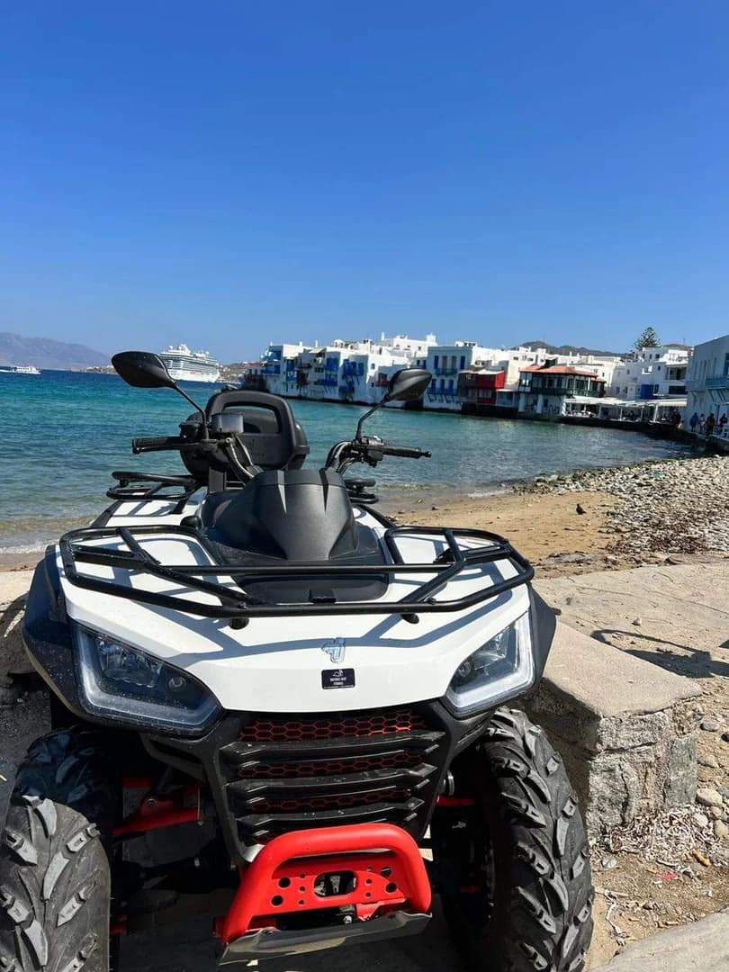 Brothers Rent Mykonos - 3