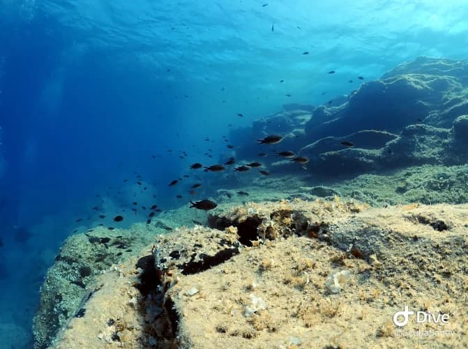 Snorkeling Adventure from the Beach (guided)