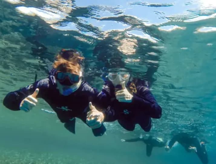 Snorkeling Adventure from the Beach (guided) - 5