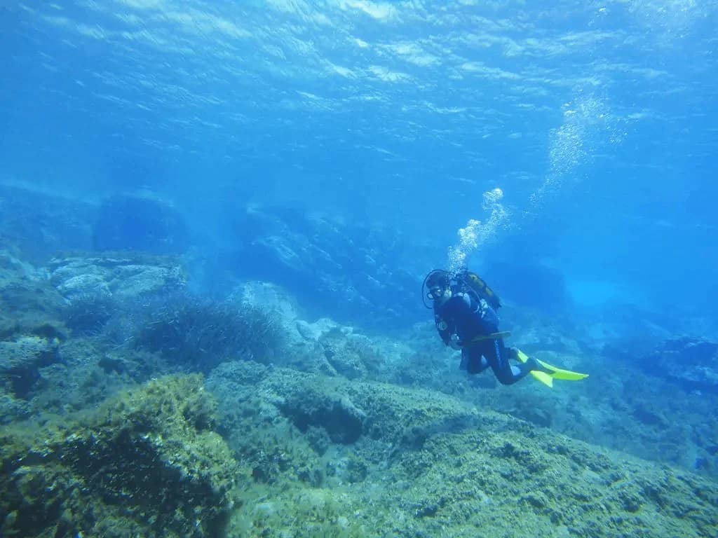 Discover Scuba Diving (No prior experience is required) - 3