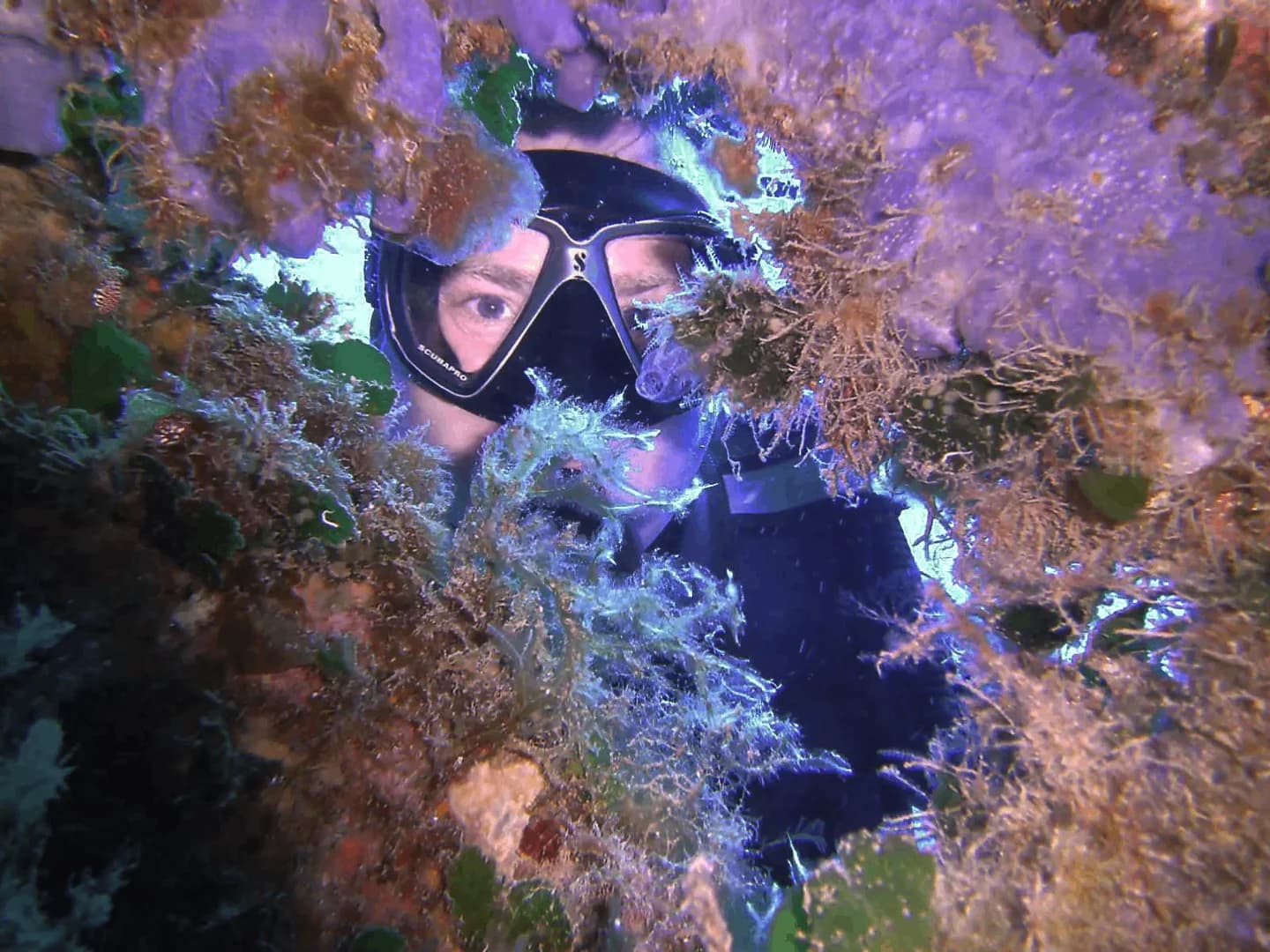 Discover Scuba Diving (No prior experience is required) - 2
