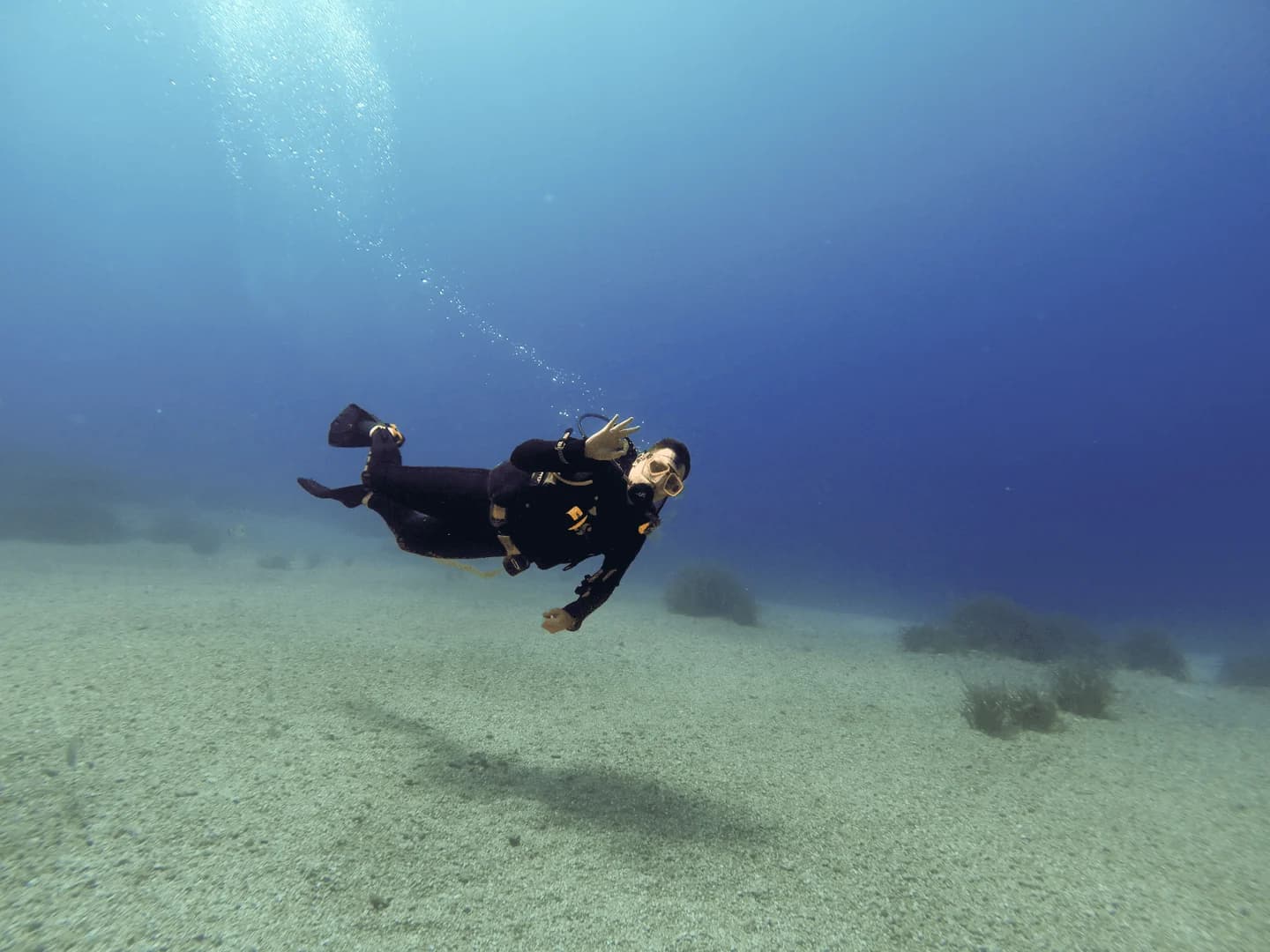 Fun Dives