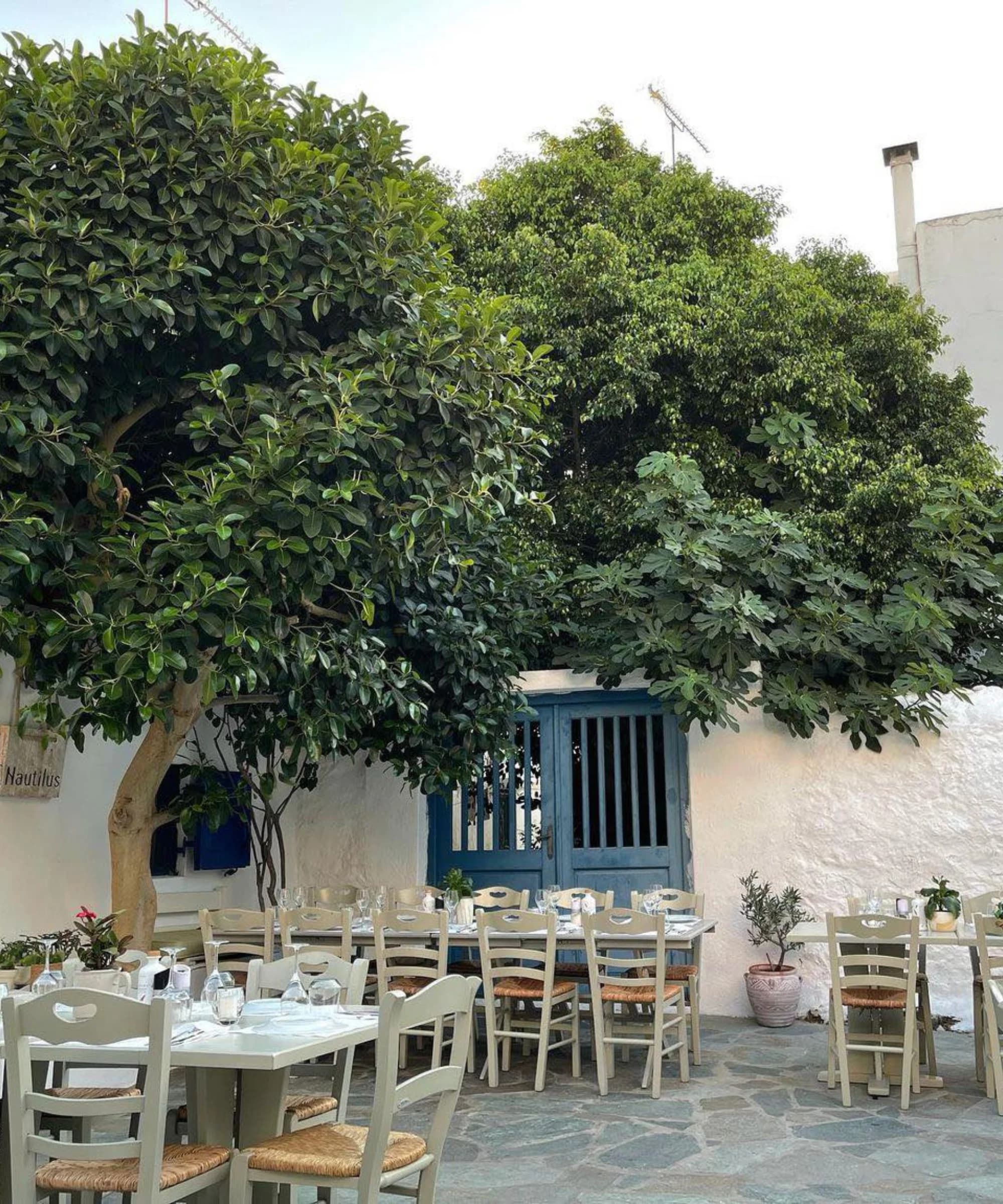 Nautilus Mykonos