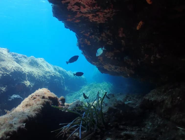 My First Scuba Diving Experience in Mykonos — Why Everyone Should Try It